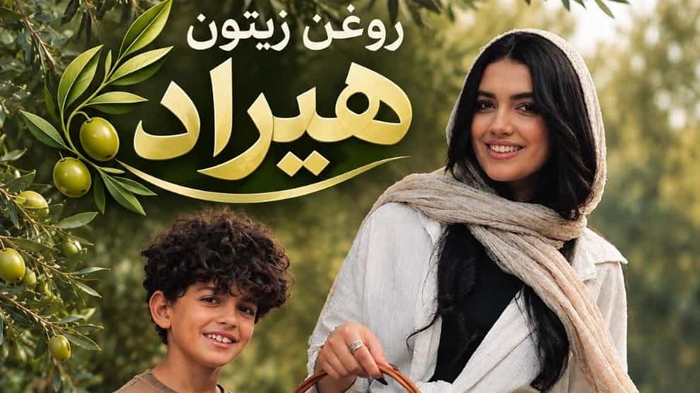 قیمت روز خرید زیتون سبز و روغن زیتون در طارم زنجان