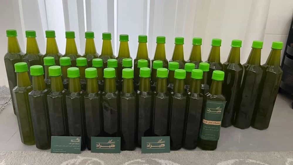 بهترین مرکز خرید عمده و ارسال روغن زیتون در طارم زنجان