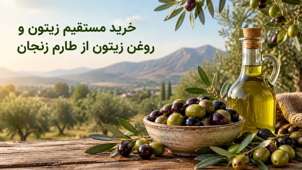خرید مستقیم زیتون و روغن زیتون از طارم زنجان خرید مستقیم زیتون و روغن زیتون از طارم زنجان