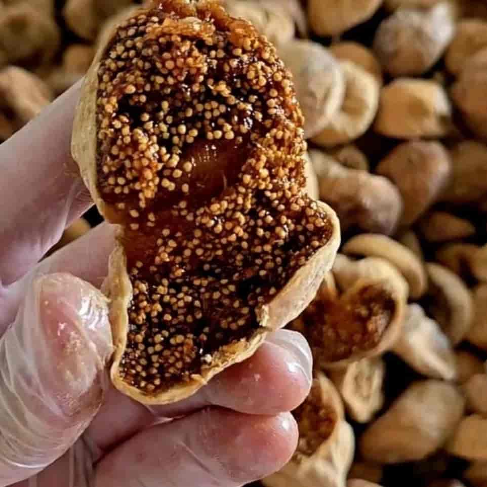 خشکبار